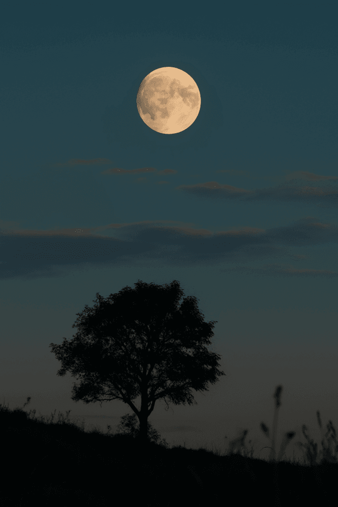 Aligning Emotional Timing with Lunar Phases